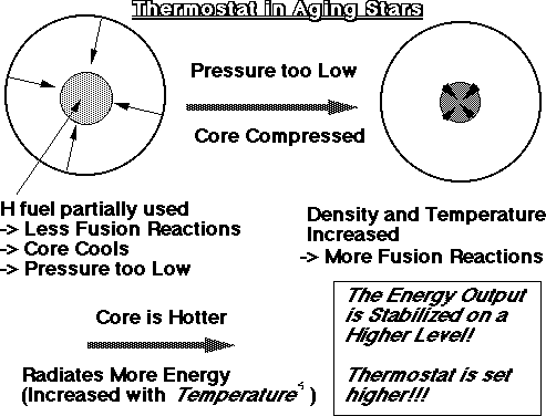 Thermostat in Aging Stars