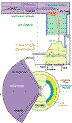 NICE for Inner Heliosphere